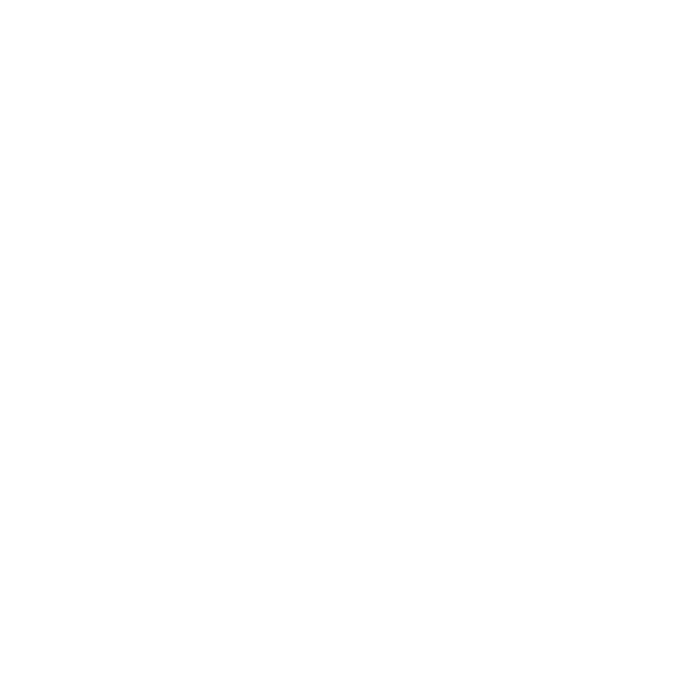 vosges-renov-facades-dogneville-epinal-golbey-picto-prestations-traitement-isolation-modification-charpente-couverture-01